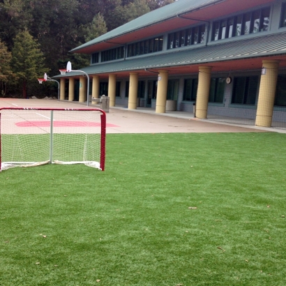 Synthetic Grass Cost New Albany, Indiana Bocce Ball Court, Commercial Landscape