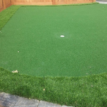 Synthetic Grass Cost Pullman, Washington Home Putting Green