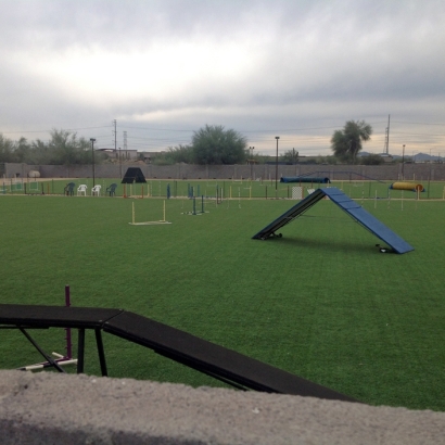 Synthetic Grass Cost Westerville, Ohio Sports Athority, Recreational Areas