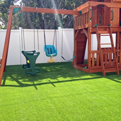 Synthetic Grass Lake Oswego, Oregon City Landscape, Backyard Landscaping Ideas