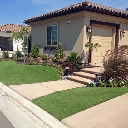 Synthetic Grass Lincoln, California Garden Ideas, Front Yard Landscaping Ideas