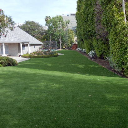 Synthetic Grass Panama City, Florida Grass For Dogs, Front Yard Landscaping Ideas