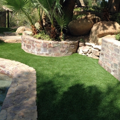 Synthetic Grass Prattville, Alabama Pet Turf, Natural Swimming Pools