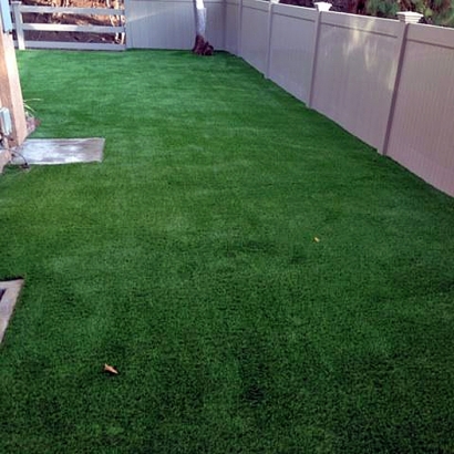 Synthetic Lawn Banning, California Gardeners, Small Backyard Ideas