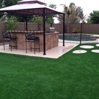 Synthetic Lawn Dublin, California Backyard Playground, Backyard Landscape Ideas