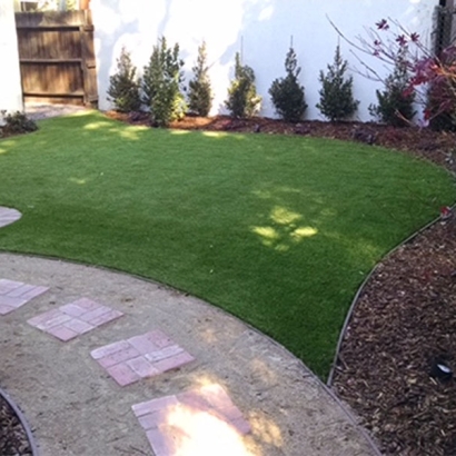 Synthetic Lawn Queen Creek, Arizona Landscape Ideas, Backyard Landscape Ideas