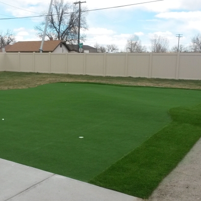 Synthetic Lawn Slidell, Louisiana Indoor Putting Green, Backyard Designs