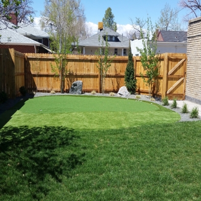 Synthetic Turf Belleville, Illinois Putting Green Carpet, Backyard Landscaping