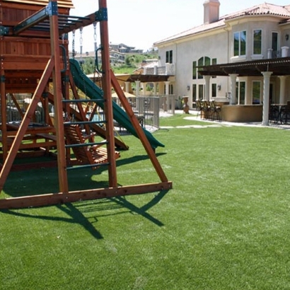 Synthetic Turf Biloxi, Mississippi Landscape Photos, Backyard Design