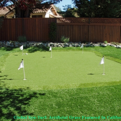 Synthetic Turf Cedar Park, Texas Putting Green Flags, Small Backyard Ideas