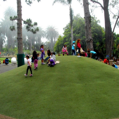 Synthetic Turf Eldersburg, Maryland Backyard Playground, Parks