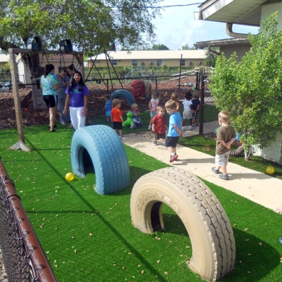 Synthetic Turf Hanover Park, Illinois Backyard Playground, Commercial Landscape