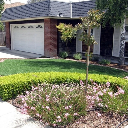 Synthetic Turf Mehlville, Missouri Roof Top, Small Front Yard Landscaping