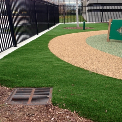 Synthetic Turf Oregon City, Oregon Landscape Ideas, Commercial Landscape