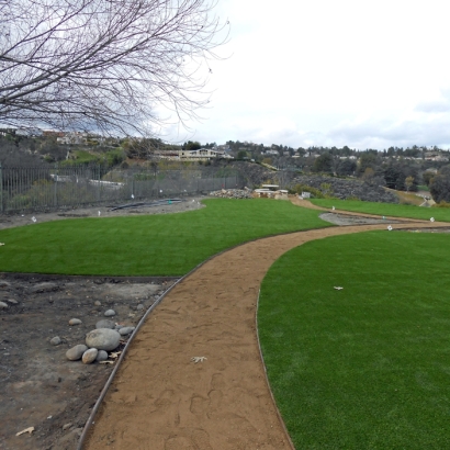 Synthetic Turf Ormond Beach, Florida Landscape Photos