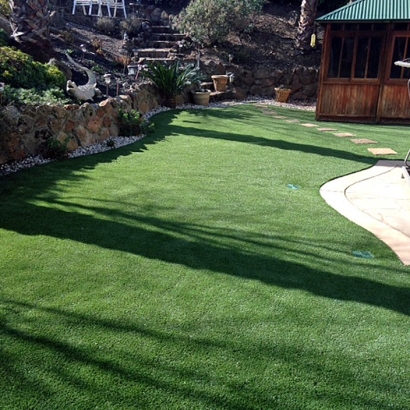 Synthetic Turf Round Lake Beach, Illinois Rooftop, Backyard Garden Ideas