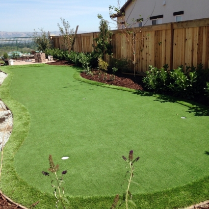 Synthetic Turf Supplier Aventura, Florida Landscaping, Small Backyard Ideas