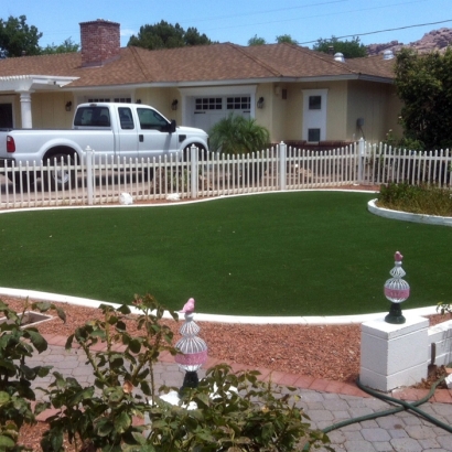 Synthetic Turf Supplier Blacksburg, Virginia Rooftop, Front Yard Landscaping