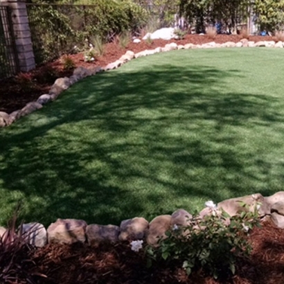 Synthetic Turf Supplier Fortuna Foothills, Arizona Garden Ideas, Backyard