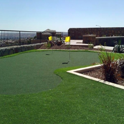 Synthetic Turf Supplier Grapevine, Texas Indoor Putting Greens