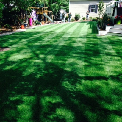 Synthetic Turf Supplier Lake Jackson, Texas Landscape Ideas, Backyard Designs