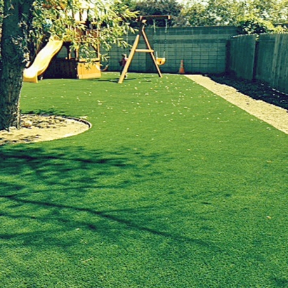 Synthetic Turf Supplier Portage, Indiana Landscaping Business, Backyard Landscaping