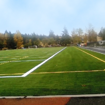 Synthetic Turf Supplier San Luis Obispo, California Football Field