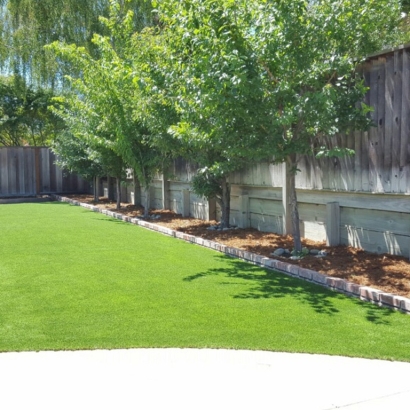 Turf Grass Barberton, Ohio Backyard Playground, Backyard Landscaping