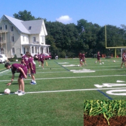 Turf Grass Cedar Hill, Texas Softball