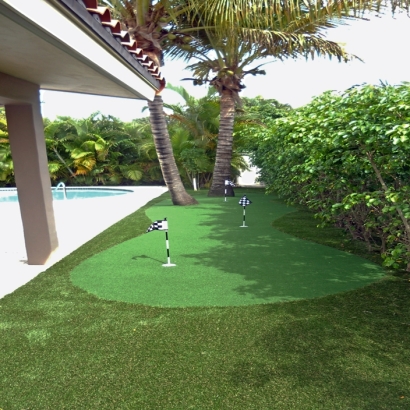 Turf Grass Coram, New York Backyard Playground, Backyard Pool