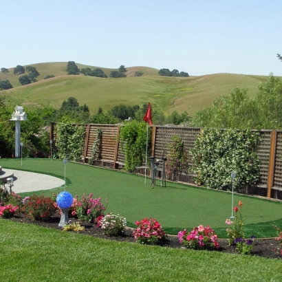 Turf Grass East Chicago, Indiana Backyard Deck Ideas, Small Backyard Ideas