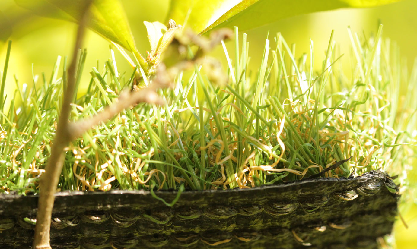 artificialgrass-cashmere-402270.jpg Artificial Grass