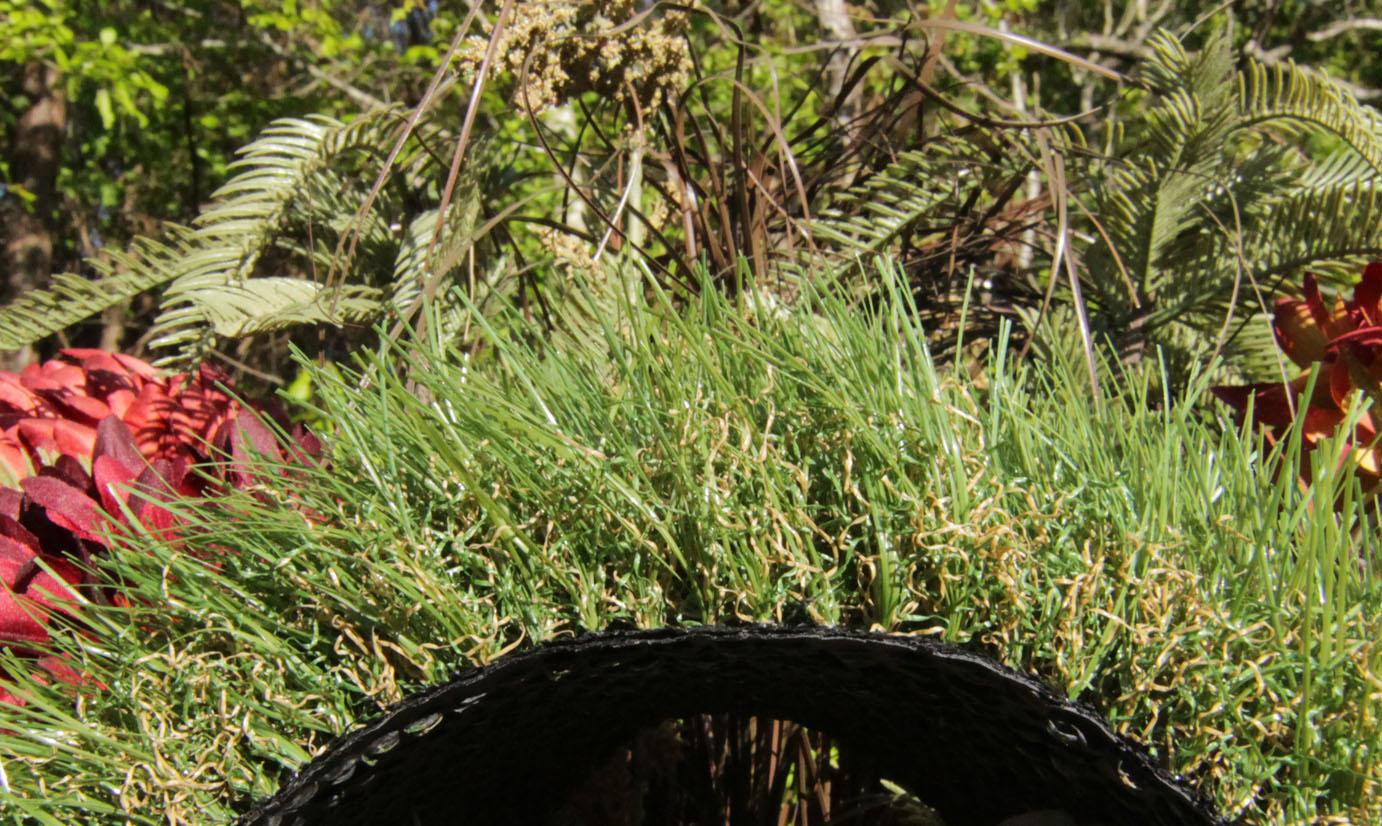 fakegrass-cashmere-702275.jpg Artificial Grass