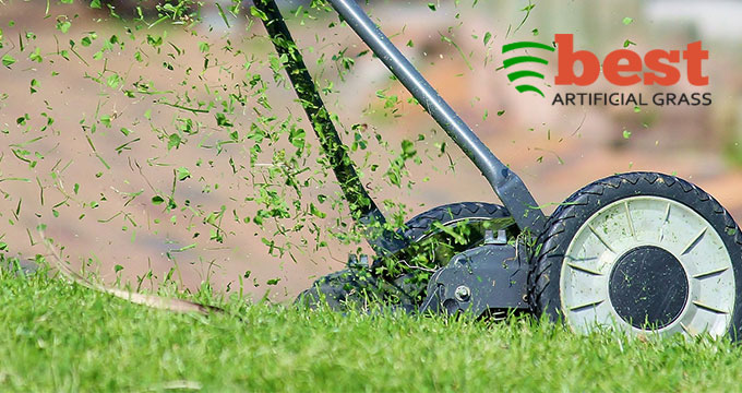 Make the smart choice and switch to artificial grass and get all of your needs from Best Artificial Grass in Florida! Read more from this blog.